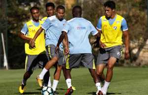 Fluminense dá início aos treinamentos visando à partida contra o Corinthians