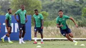Fluminense atualiza a situação clínica dos atletas lesionados