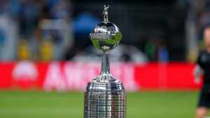 Matemático divulga chances de Libertadores: Flu segue firme na briga