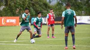 Vale apostar na classificação direta na Libertadores? Veja como lucrar com o Fluminense na última rodada do Brasileirão