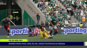 Especialista em arbitragem diz que Fábio não cometeu pênalti em Rony