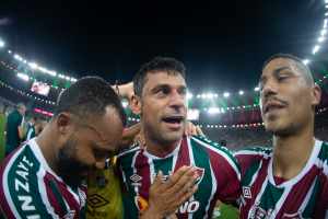 #DiadeFred: Confira o gráfico com todos os 417 gols e médias da carreira do ídolo