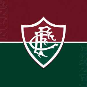 Fluminense anuncia que 75% das vagas de plano extra foram preenchidas