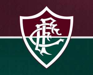 Site revela orçamento e projeções financeiras e esportivas do Fluminense para 2024