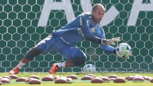 Goleiro do Palmeiras é especulado no Fluminense