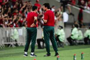 Ex-auxiliar de Diniz no Fluminense é demitido na Série B