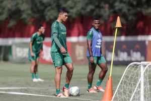 “O Fluminense não tem jogador extraclasse”, opina jornalista
