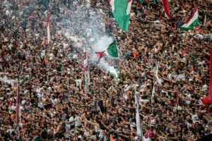 Fluminense está no top-10 clubes com as melhores médias de público presente do Brasileirão