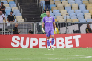 Foto: Lucas Mer&ccedil;on / Fluminense