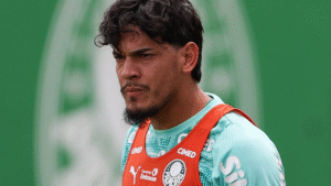 Gustavo G&oacute;mez Fluminense x Palmeiras